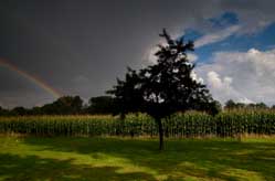 Regen vs. Sonne - Hohenhorst