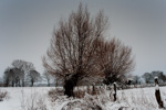 Winter in der Bauernschaft Hohenhorst