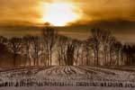 Am Morgen des ''Heilig Abend''