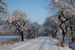 Winter in der Bauernschaft Hohenhorst