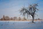 Winter in der Bauernschaft Hohenhorst