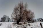 Winter in der Bauernschaft Hohenhorst